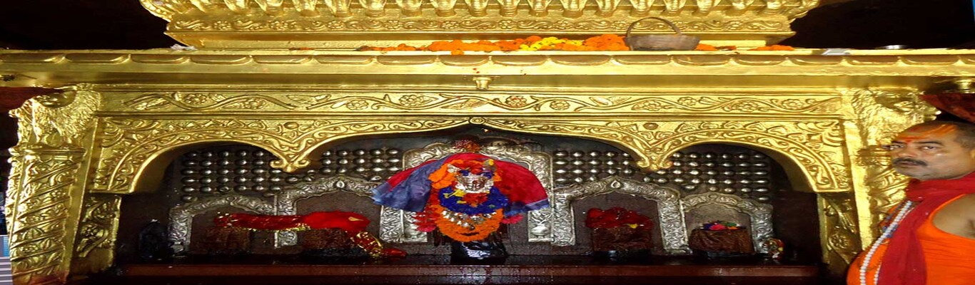 Description of Image 4